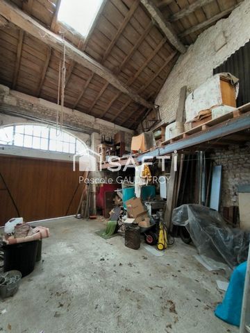 photo no. 9