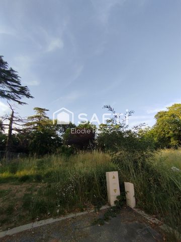 photo no. 1