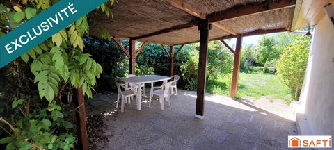 photo no. 12