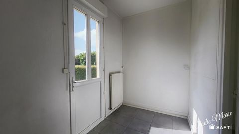 photo no. 5
