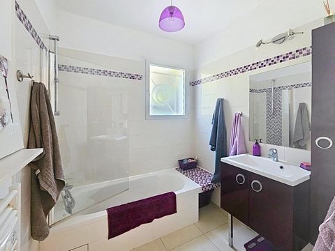 photo no. 7