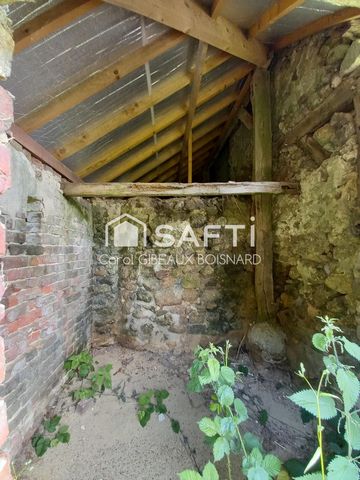 photo no. 10