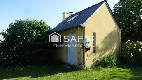 photo no. 14