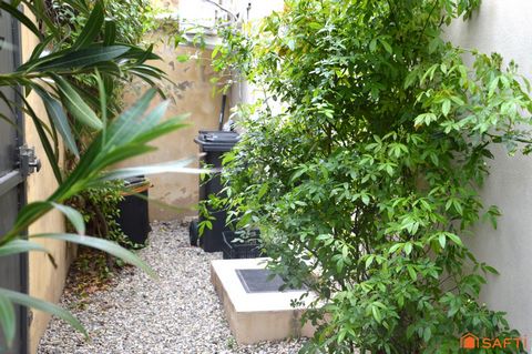 photo no. 11