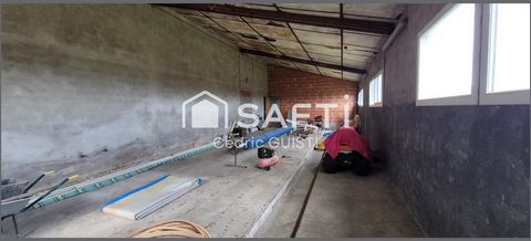 photo no. 13