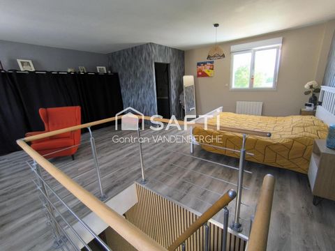 photo no. 11