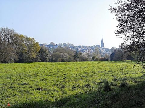 photo no. 3