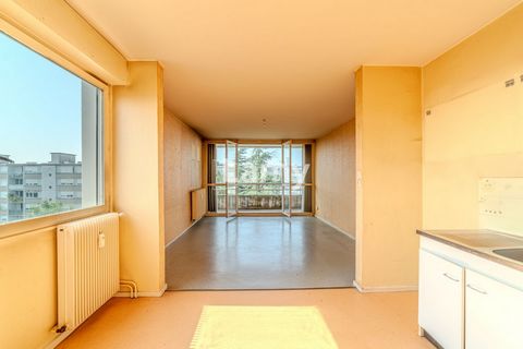 photo no. 2