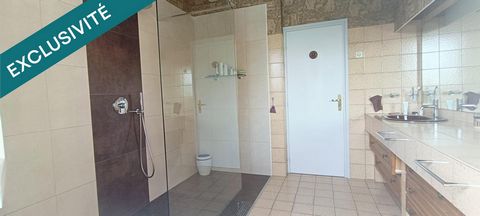 photo no. 8