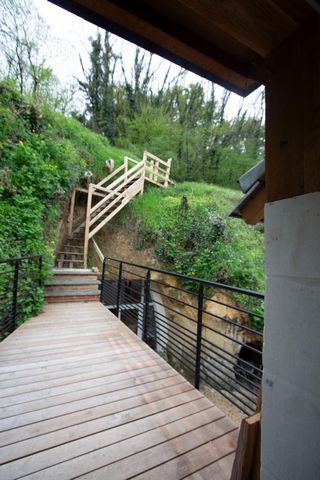 photo no. 11
