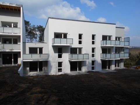 photo no. 2