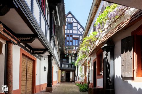 Dpt Bas-Rhin (67), viager à vendre BOERSCH propriete P15 de 480 m²