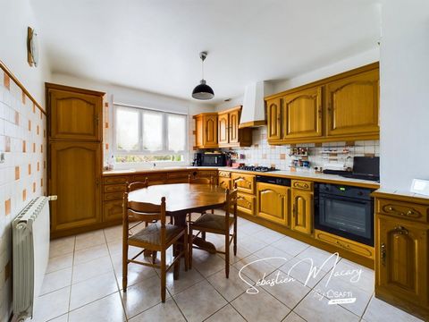 photo no. 2
