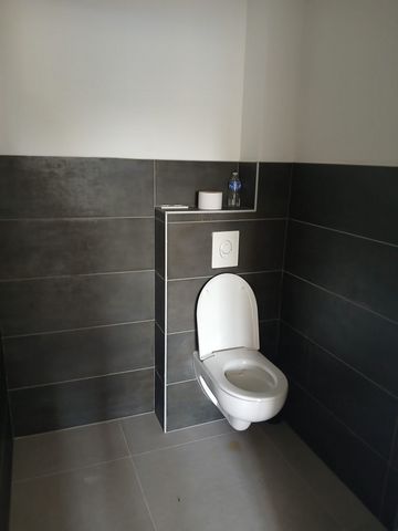 photo no. 5