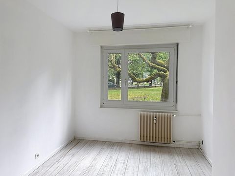 photo no. 17