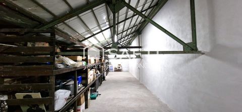 photo no. 11