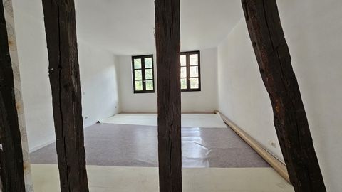 photo no. 7