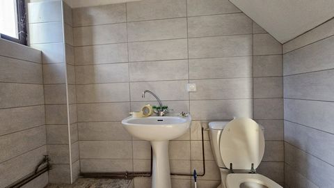 photo no. 12