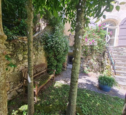 photo no. 12