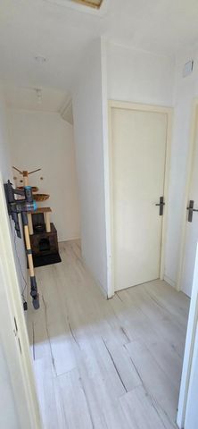 photo no. 8