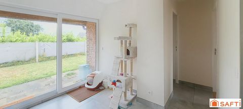 photo no. 9