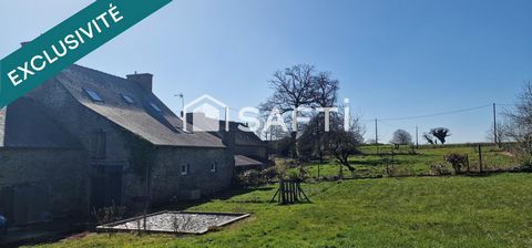 photo no. 13