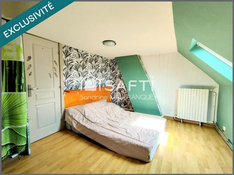 photo no. 7