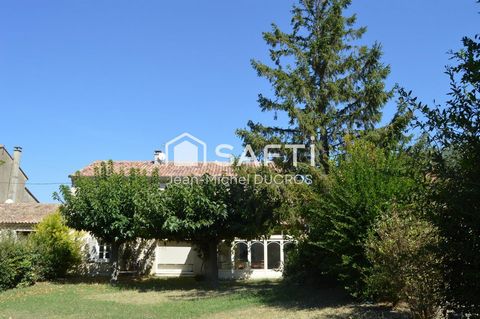 photo no. 1