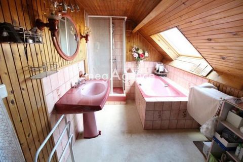 photo no. 13