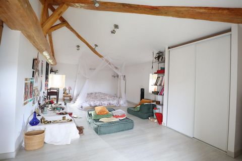 photo no. 11