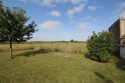 photo no. 15