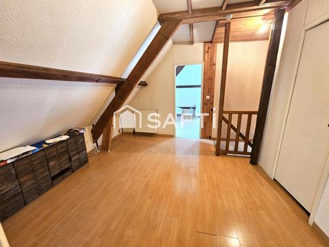 photo no. 11