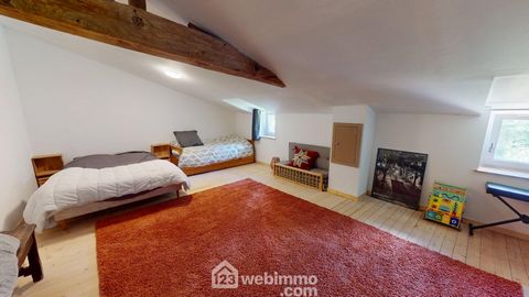 photo no. 11