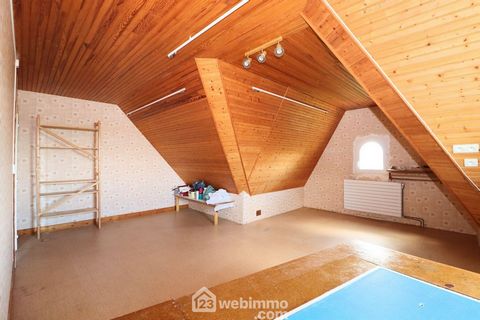 photo no. 17