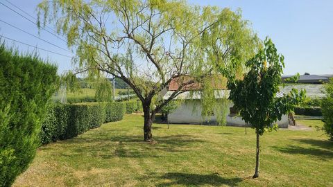 photo no. 14