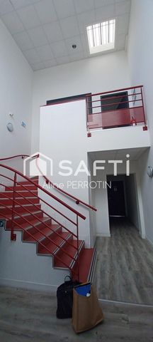 photo no. 6