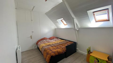 photo no. 9