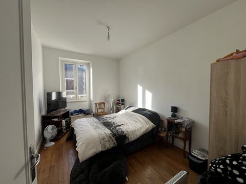 photo no. 8
