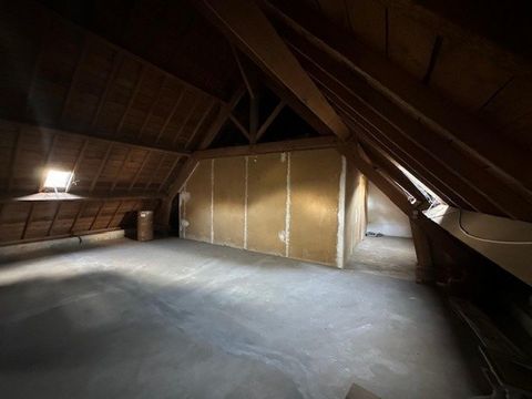 photo no. 12