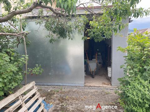 photo no. 4