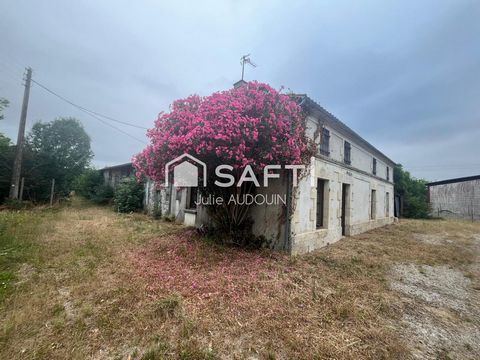 photo no. 13