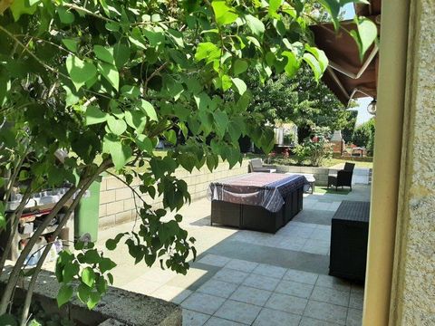 photo no. 10