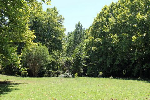 photo no. 13