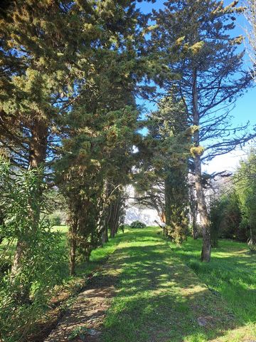 photo no. 16