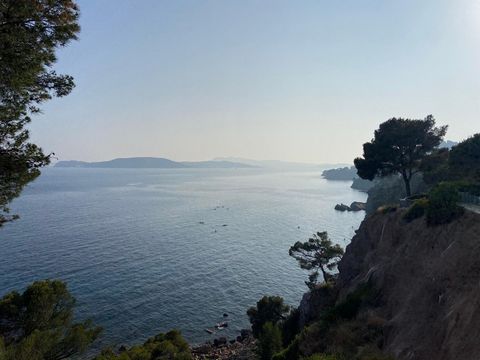 photo no. 1