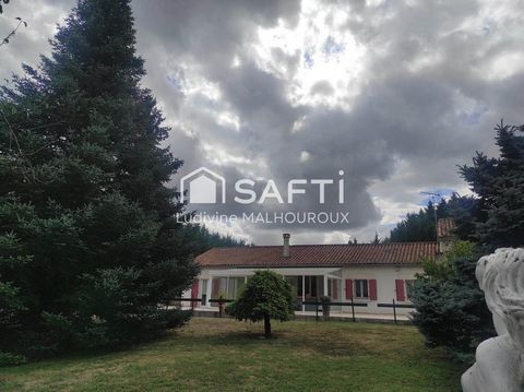 photo no. 17
