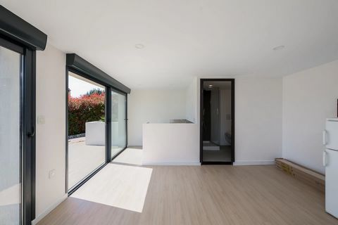 photo no. 13