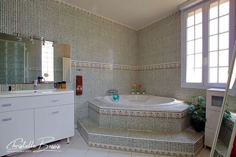 photo no. 13