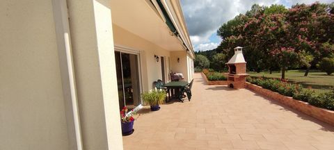 photo no. 11