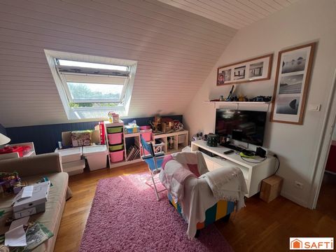 photo no. 17
